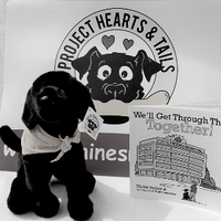 $30- Project Hearts & Tails Book & Brave Pup