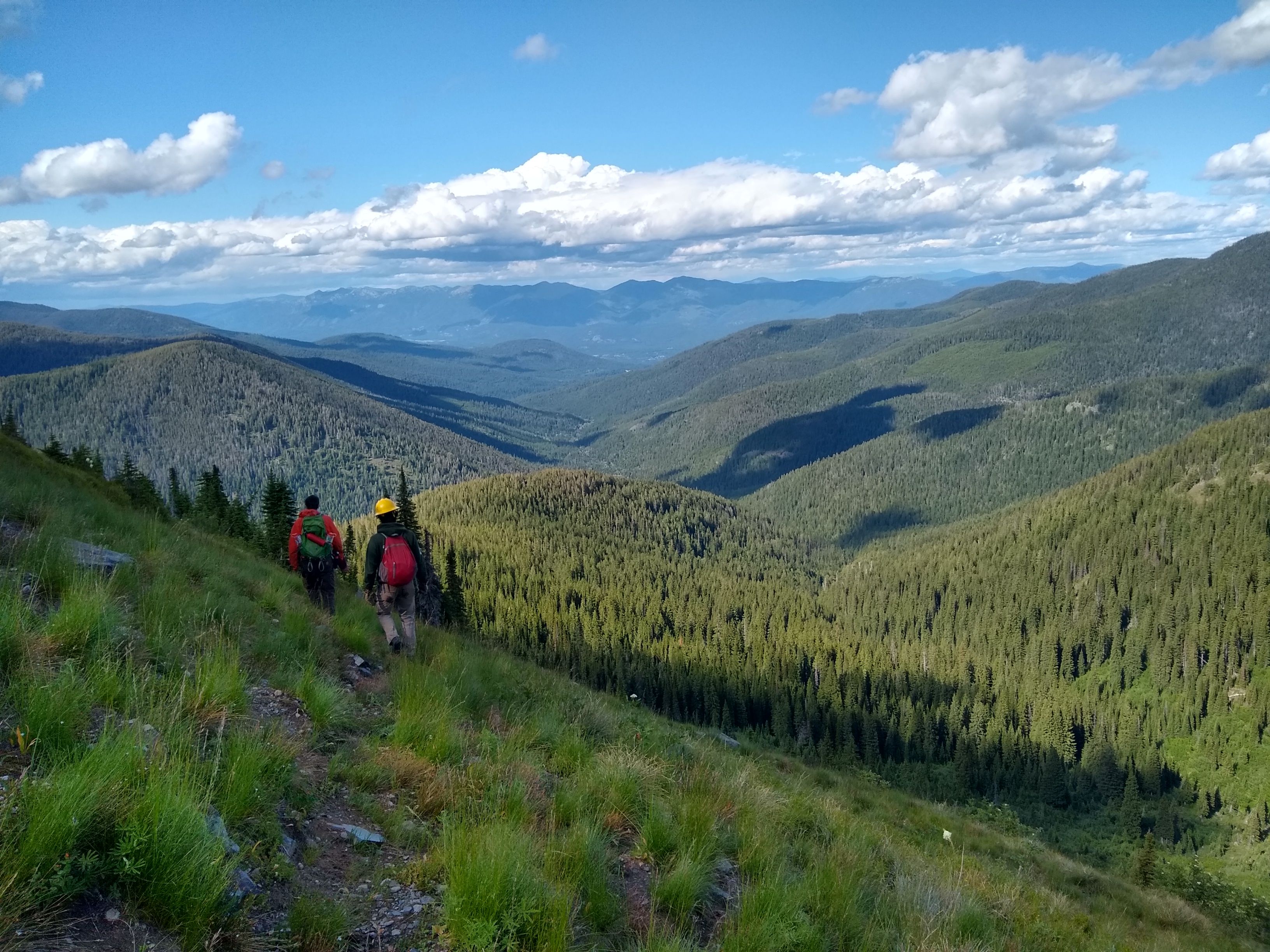 [Image Description: Two MCC members are walking away on the trail, looking out over a lush, green valley.]