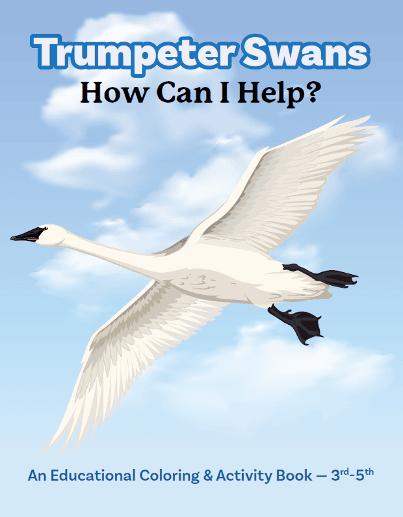 Grade 3-5: "Trumpeter Swans- How Can I Help?"