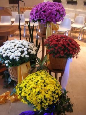 Daily Prayer November 26