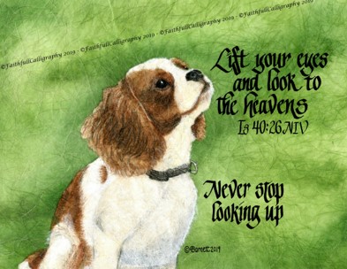 LIFT YOUR EYES (Isaiah, Encouragement, Faithwalk)