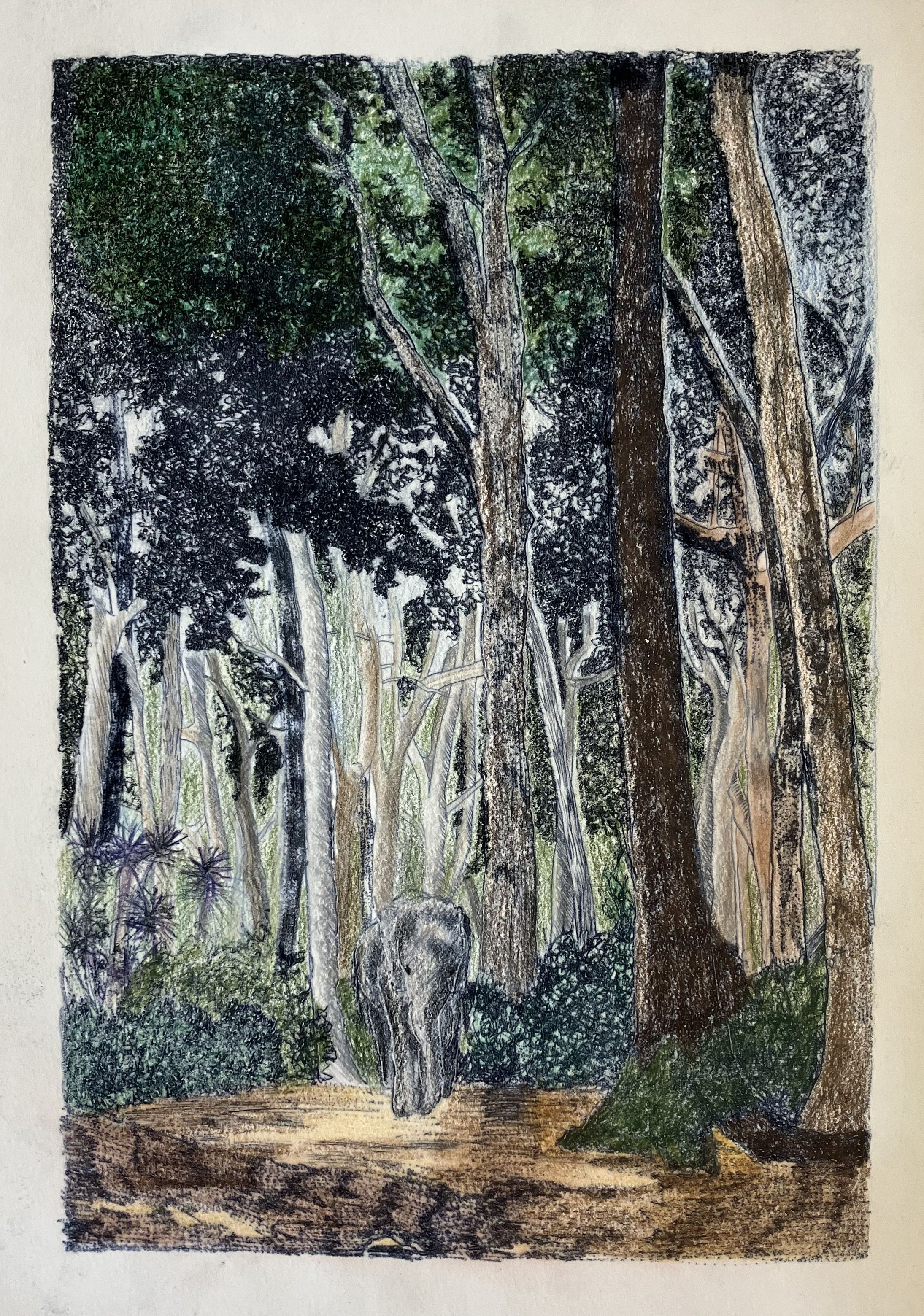 Out of the Forest