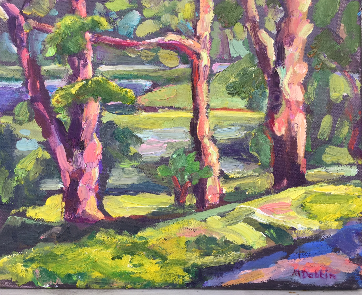 Acrylic Plein Air Workshop with Mary Dobbin