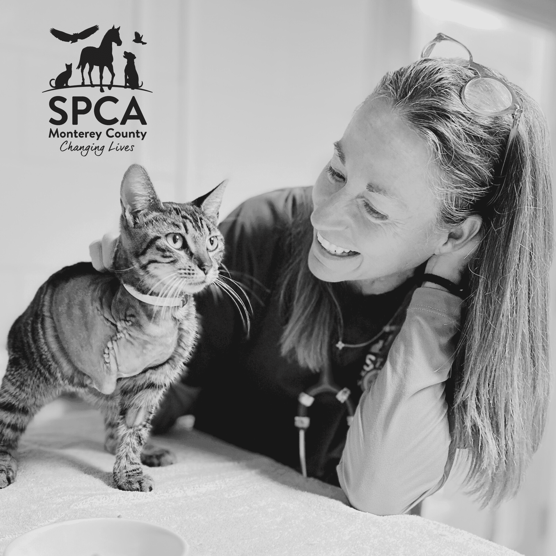 SPCA Stories:  Dr. Jen Wernsing, DVM - SPCA Monterey County Veterinarian