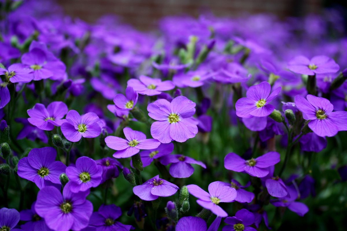 Albemarle Hopeline : Get Help : Warning Signs of Abuse