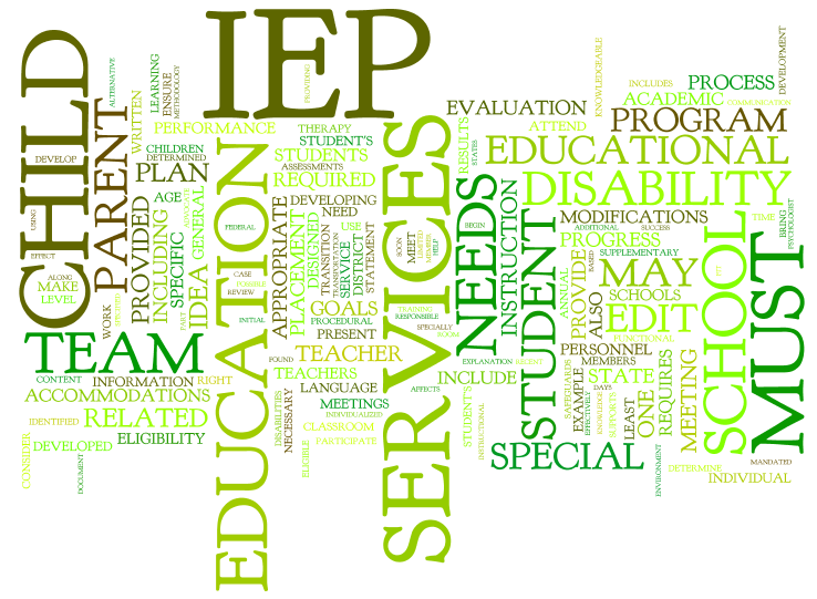 IDEA / IEP Ins & Outs