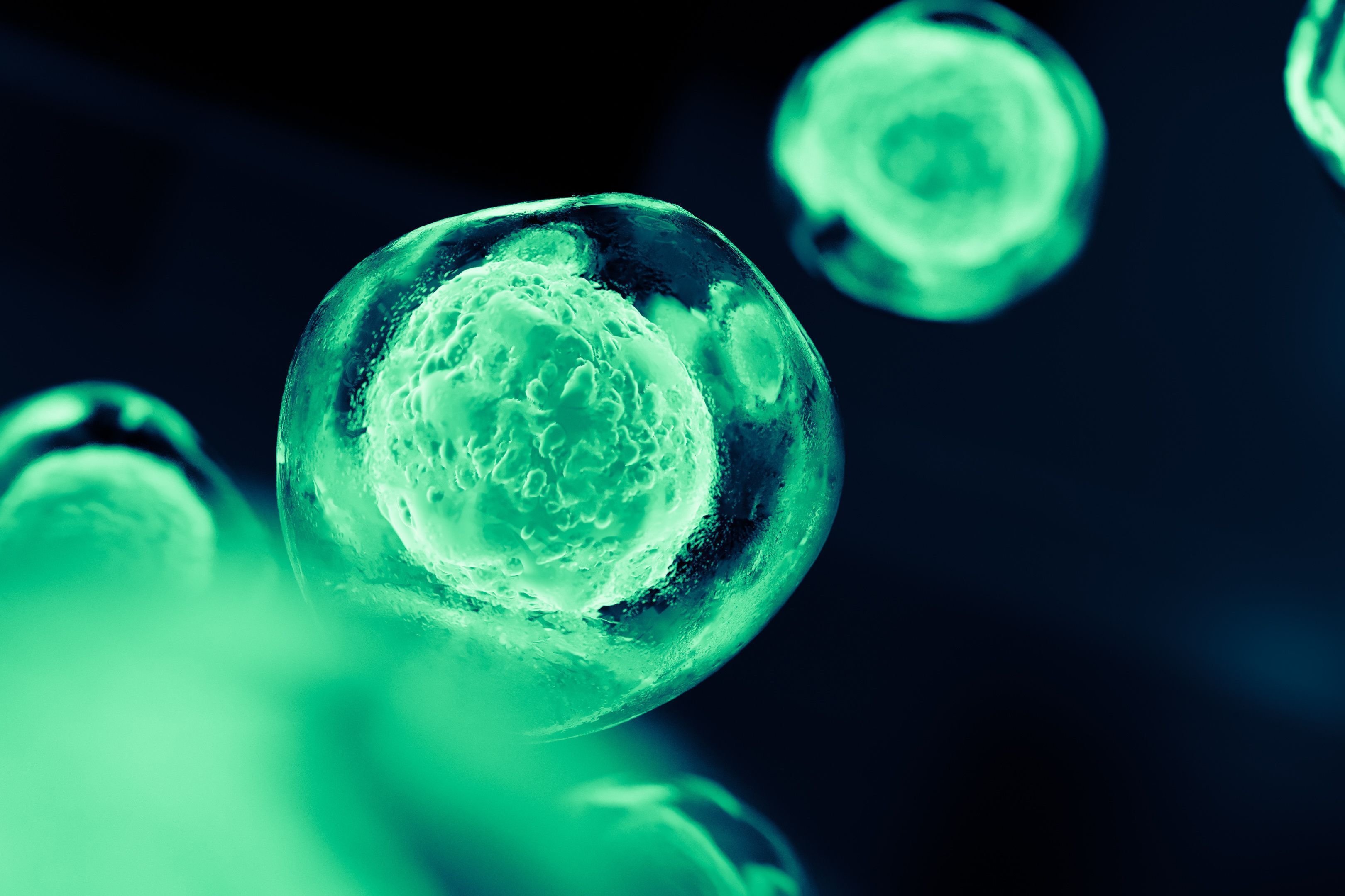Today Is Stem Cell Awareness Day! What It Means for T1D.