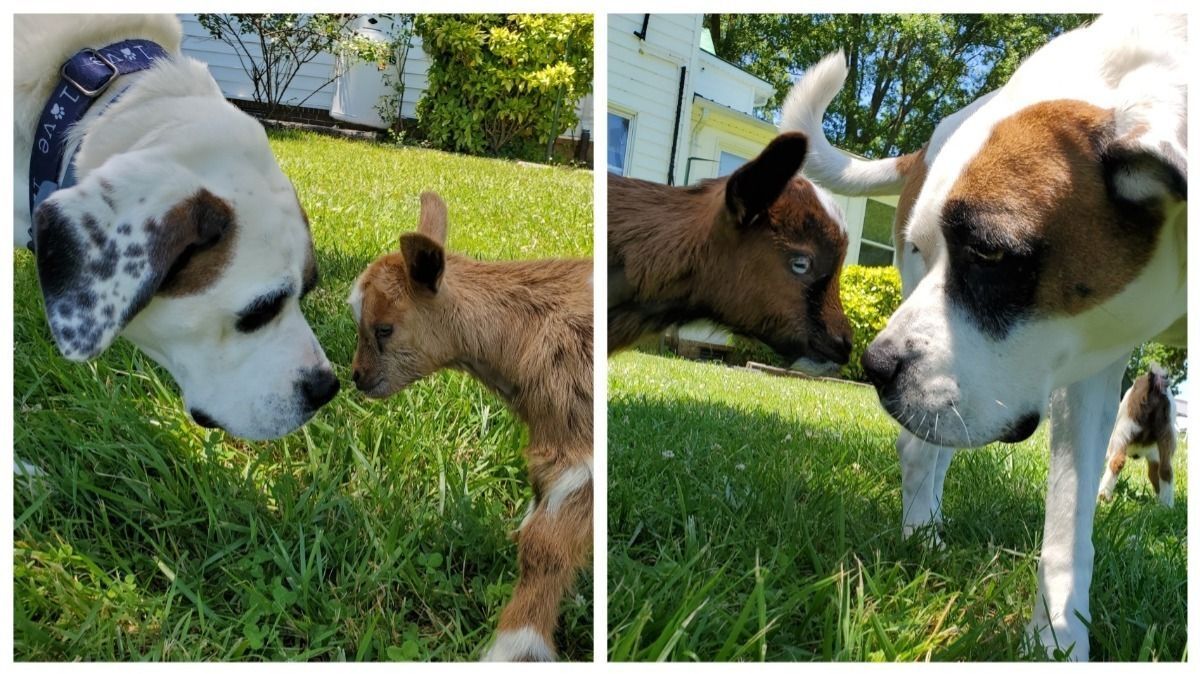 And our babies Tater & Tot