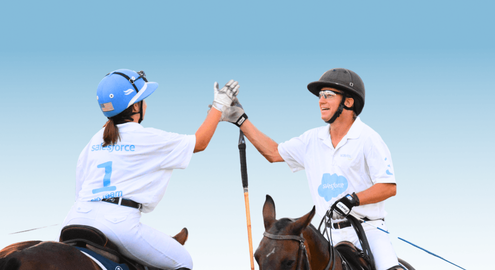 POLO IN THE PARK