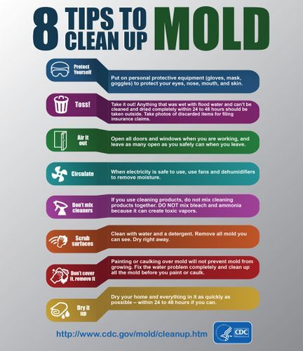 Mold & Moisture  Environmental Health