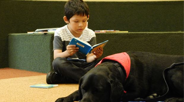 Read To A Dog!