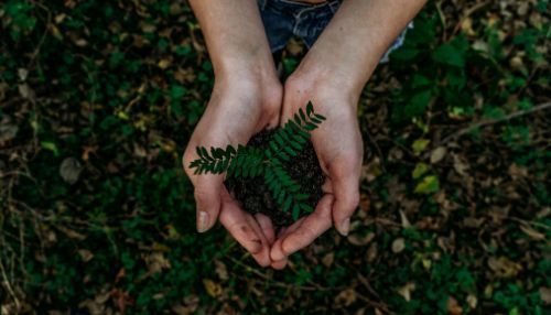 Celebrate St. Patrick’s Day Month by Going Green