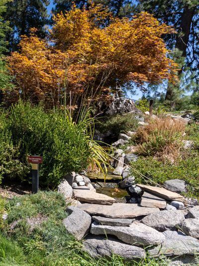 Waterfall Garden