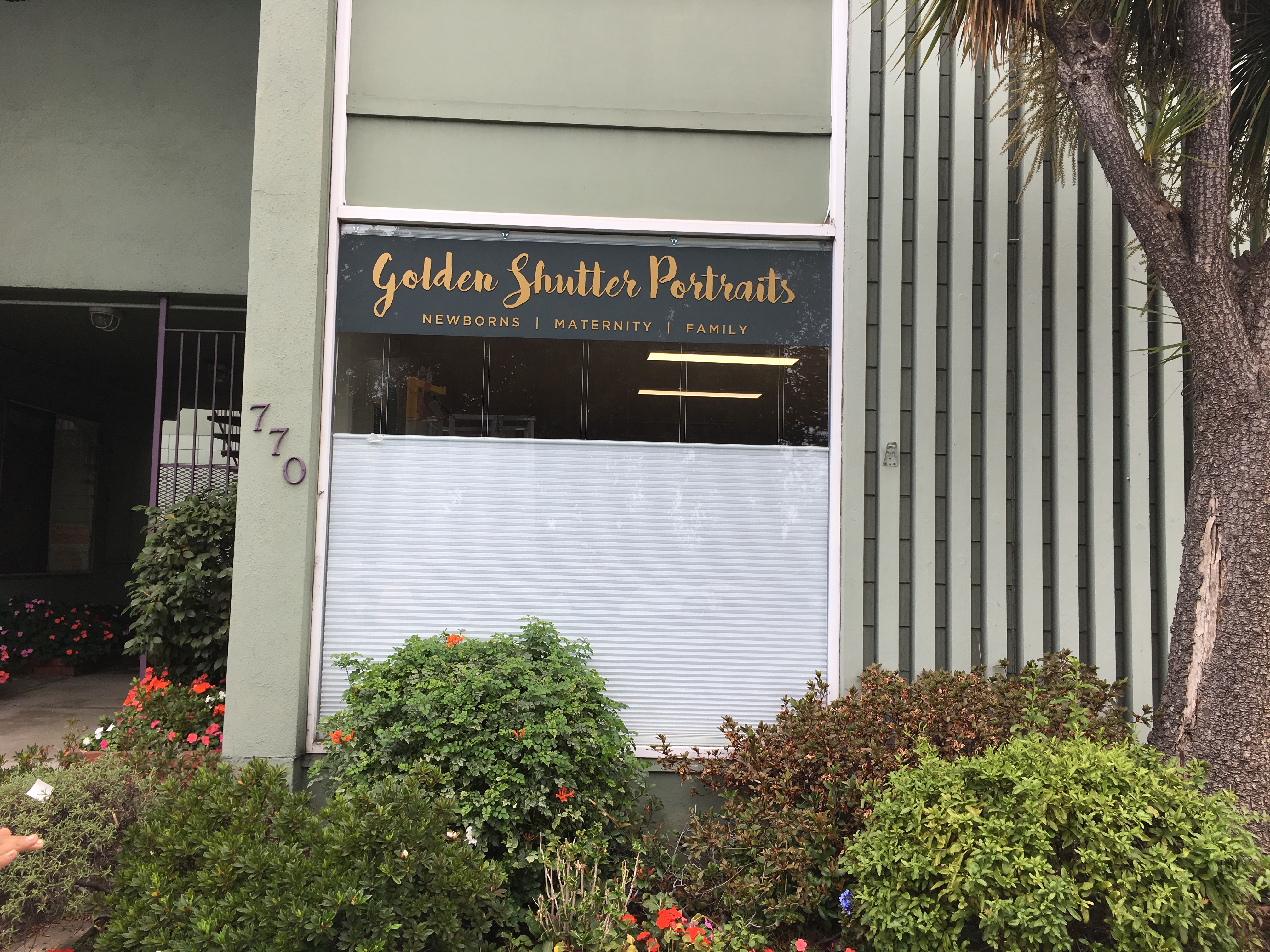 Window Lettering