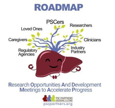 Cartoon graphic of a smiling liver with branches coming out of his back. Underneath, it says Research Opportunities and Development Meetings to Accelerate Progress. Below that is a PSC Partners logo.