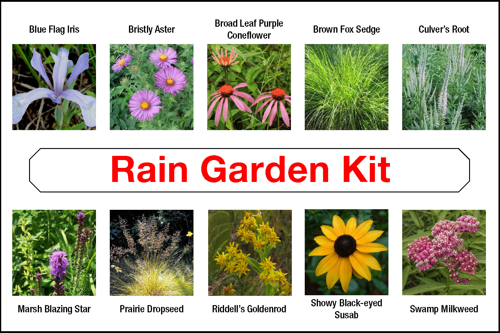 Rain Garden Kit