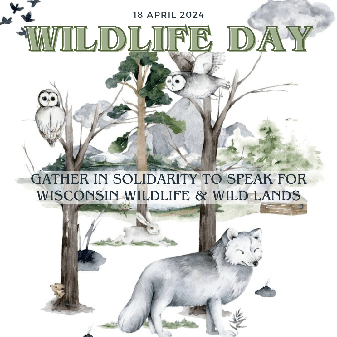 18 APRIL 2024 WILDLIFE DAY GATHER IN SOLIDARITY TO SPEAK FOR WISCONSIN WILDLIFE & WILD LANDS