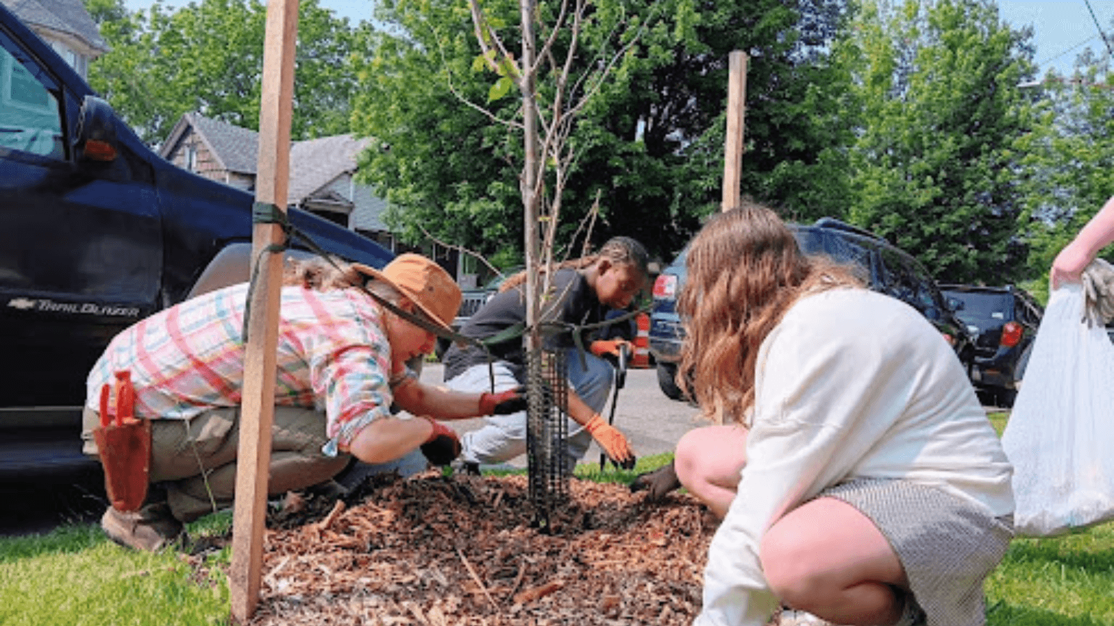 community members working to plant a new tree on the side of a road 