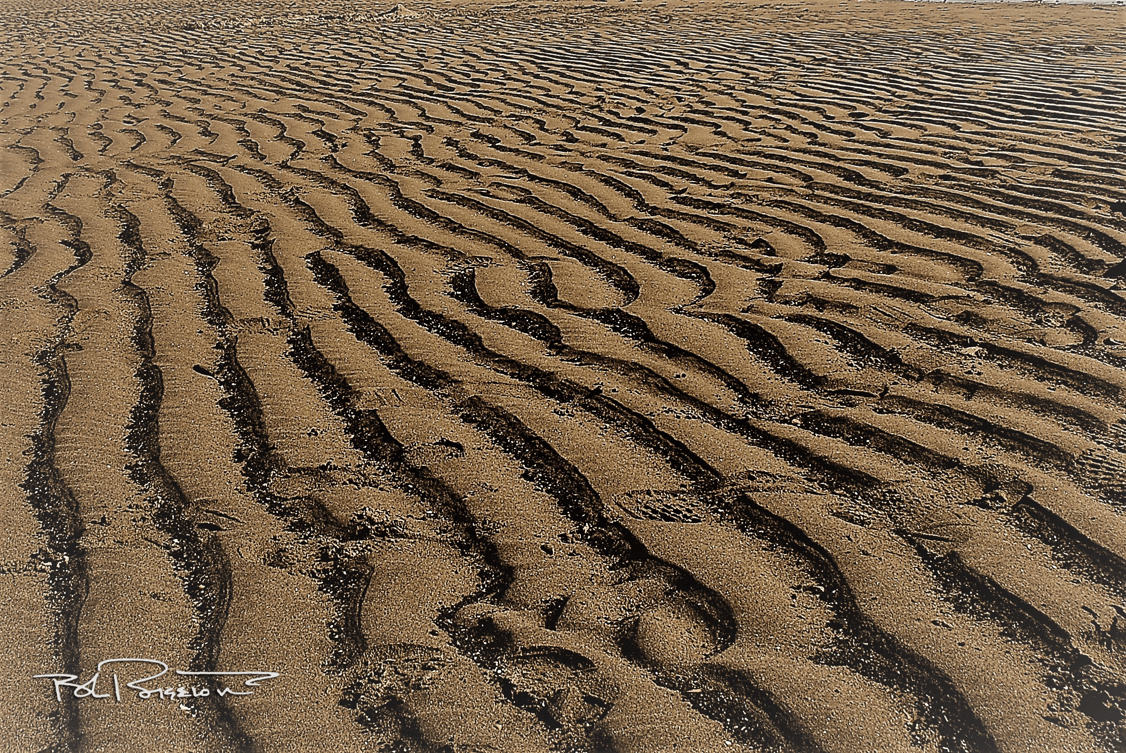 Homer Sands