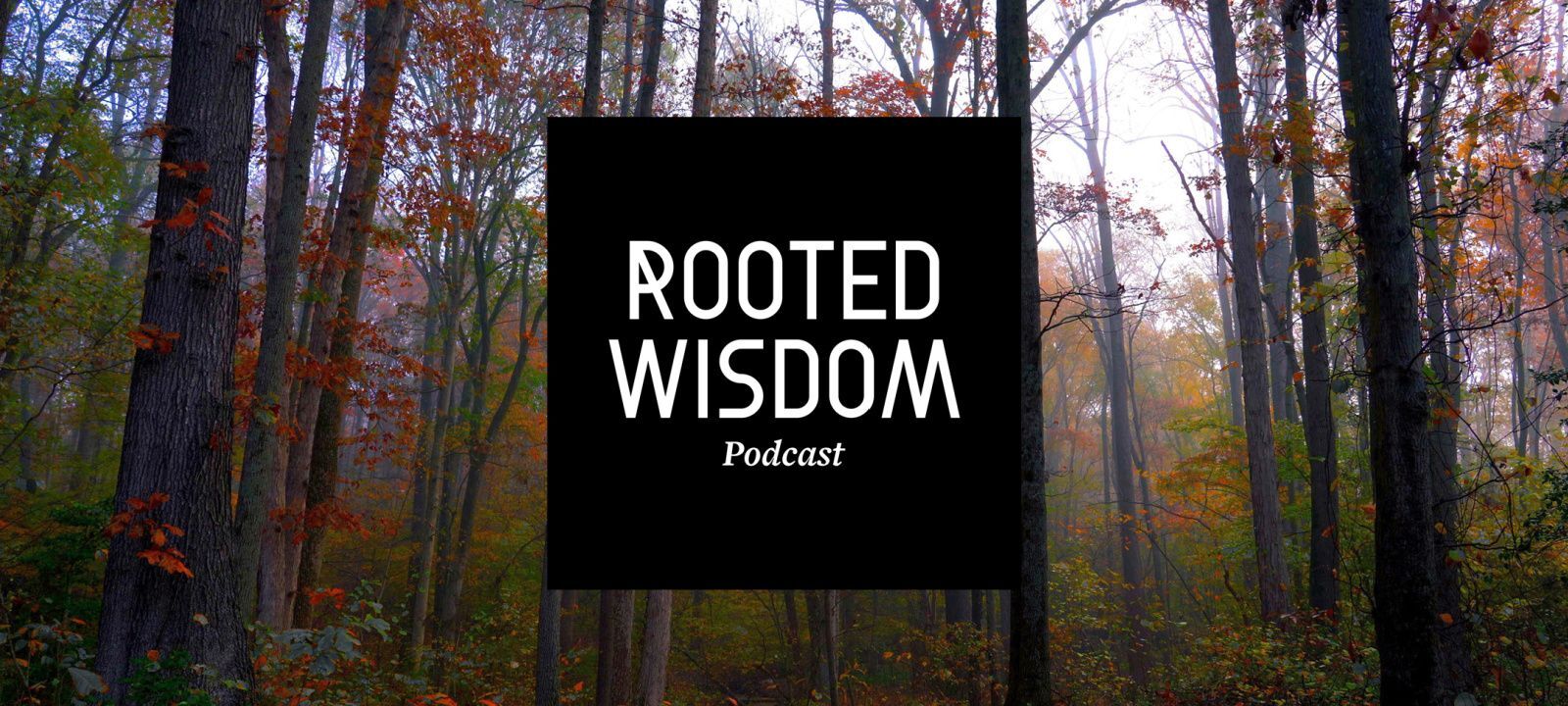 Rooted Wisdom podcast launch: Thursday, September 26