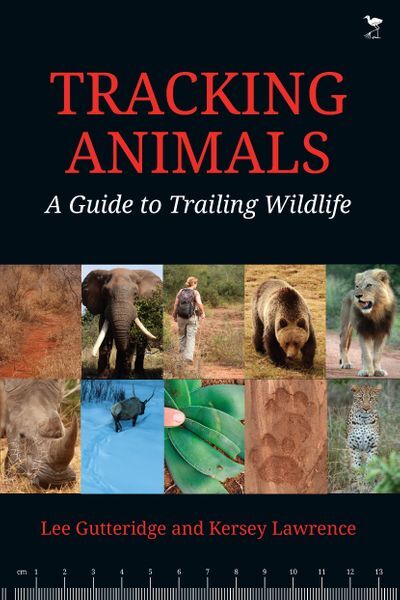 tracking animals