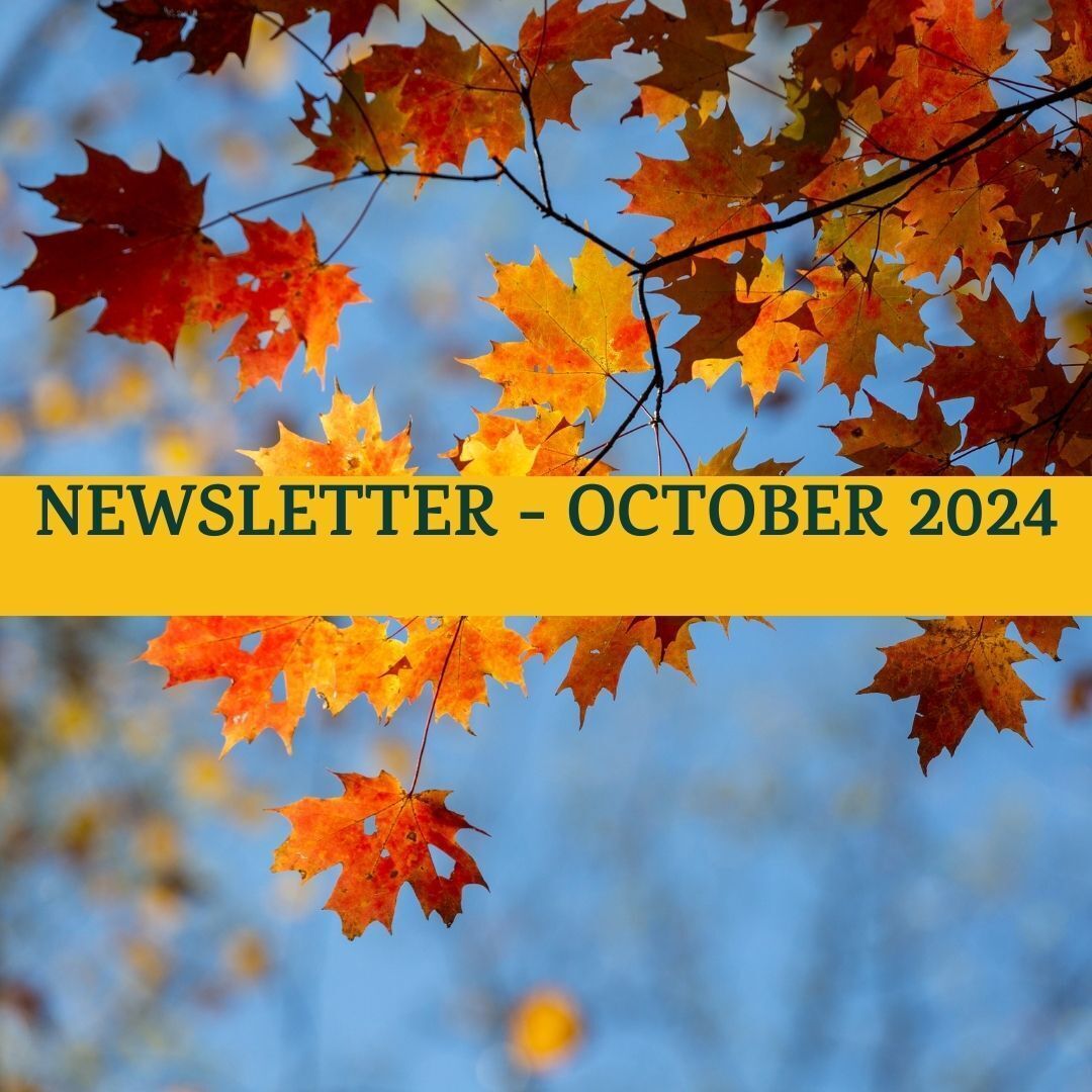 This Just IN! - October 2024