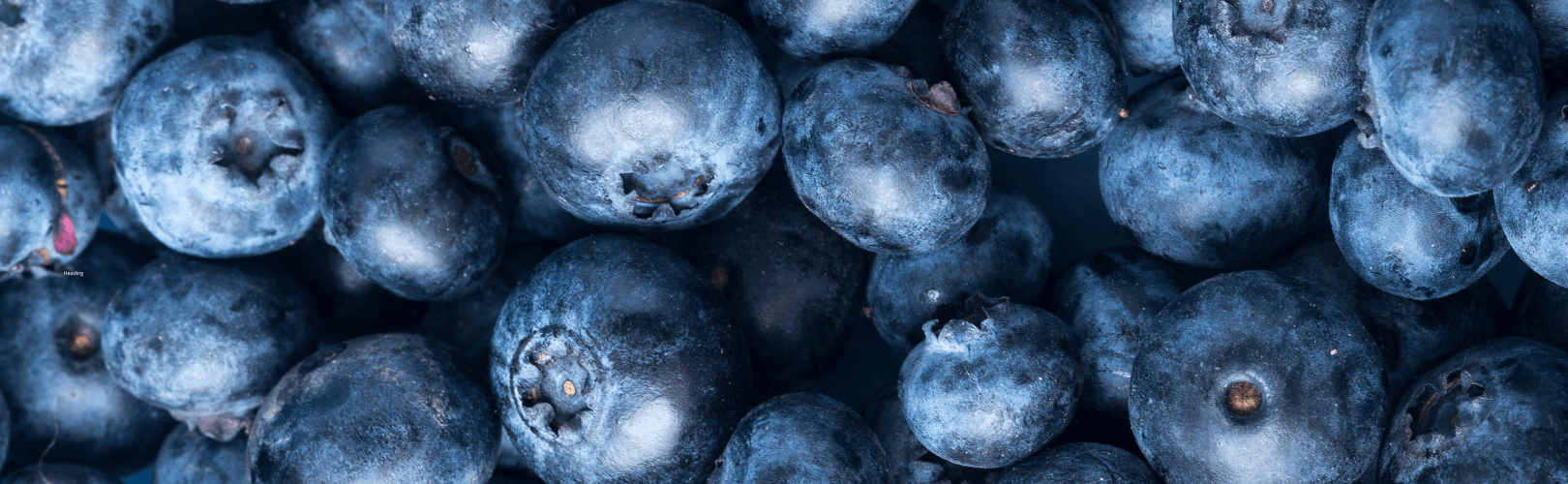 Blueberries 