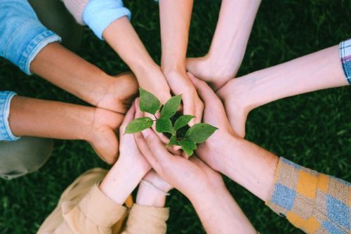 volunteer hands