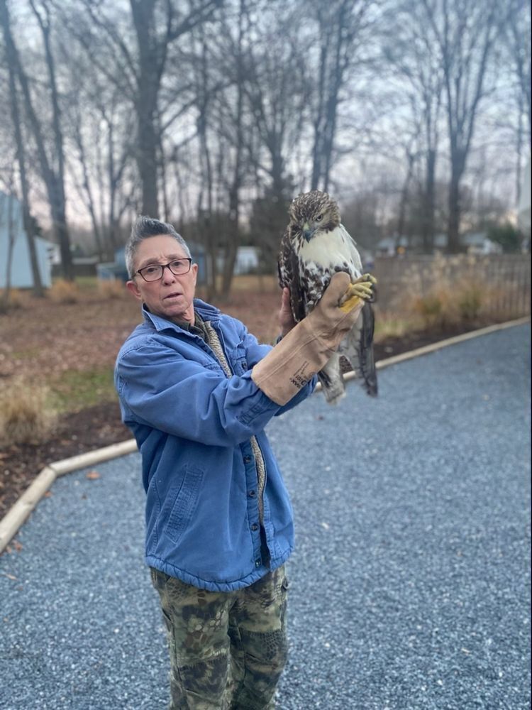 Meet the Handlers