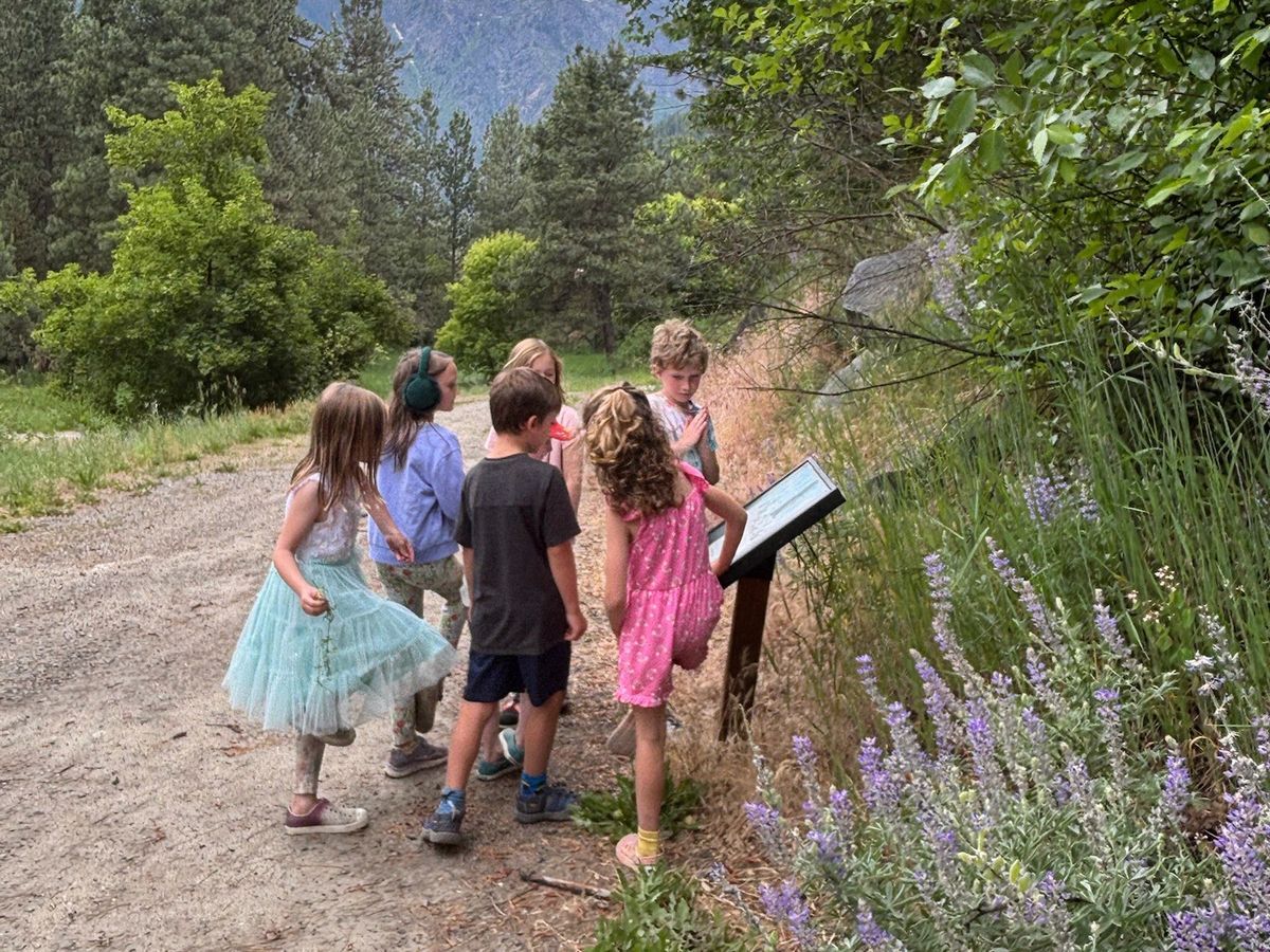 In 2025, WRI's After School Program was kickstarted in the spring, 18 students visited WRI 2 to 4 times each week and enjoyed exploring the grounds and reading the featured StoryWalk® book.