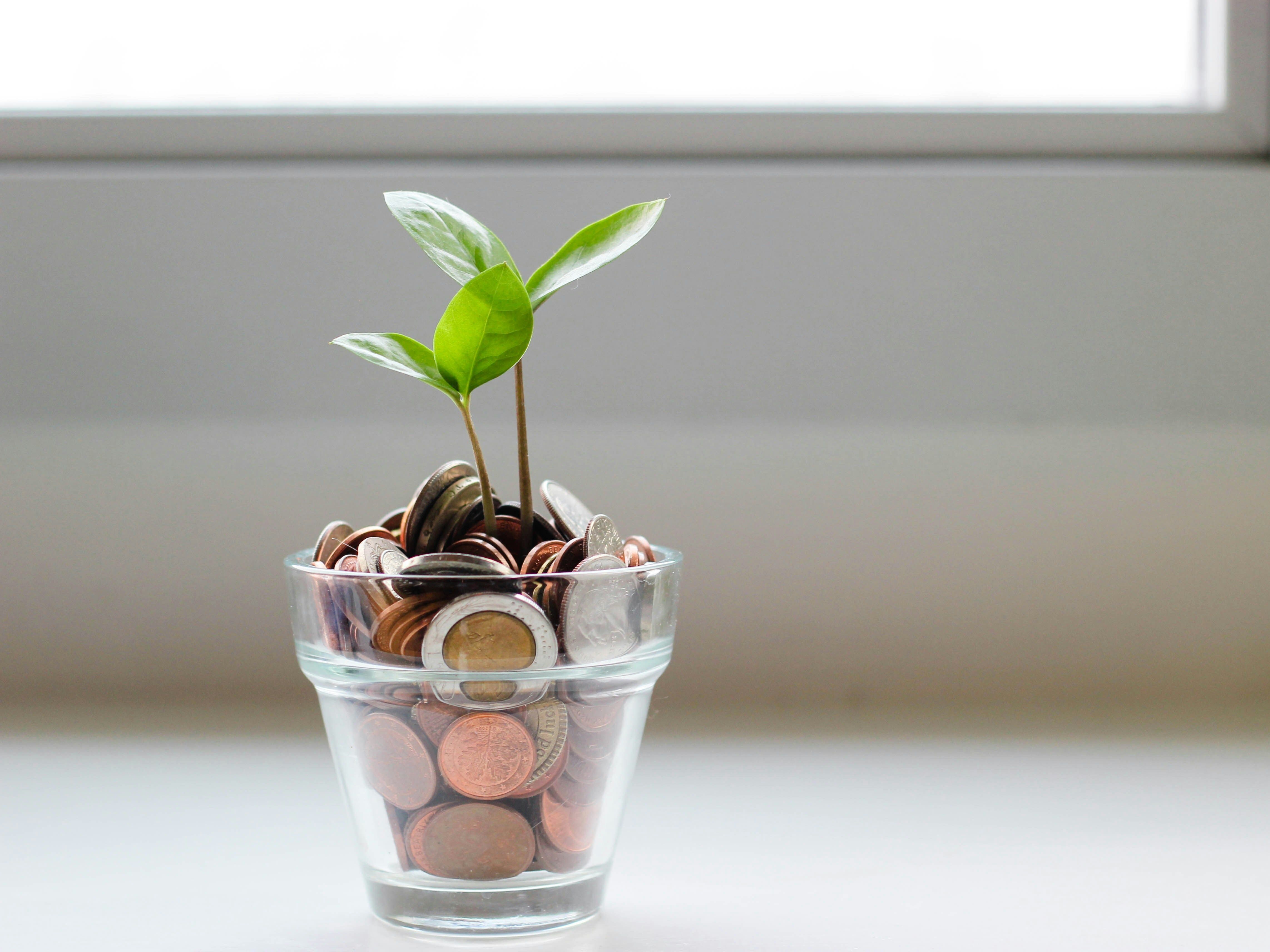 Financial Statements