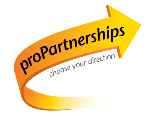 proPartnerships (Self-Directed)