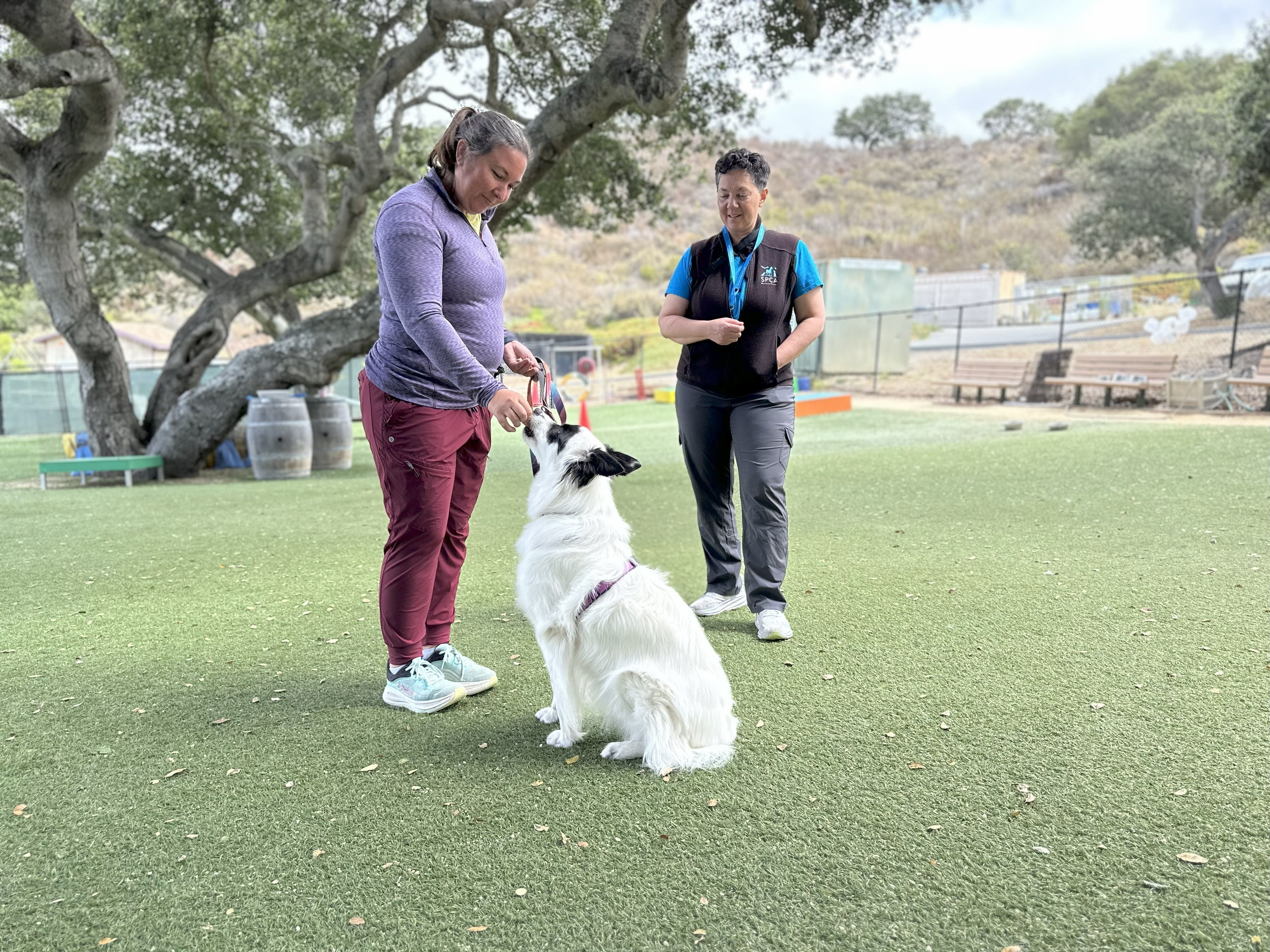 Meet Our Training Team