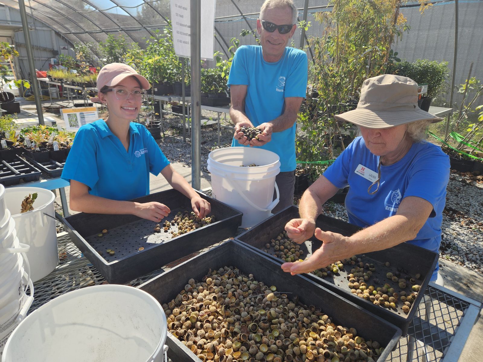 A man and two women all wearing bright blue shirts sort trays of acorns in the greenhouse.