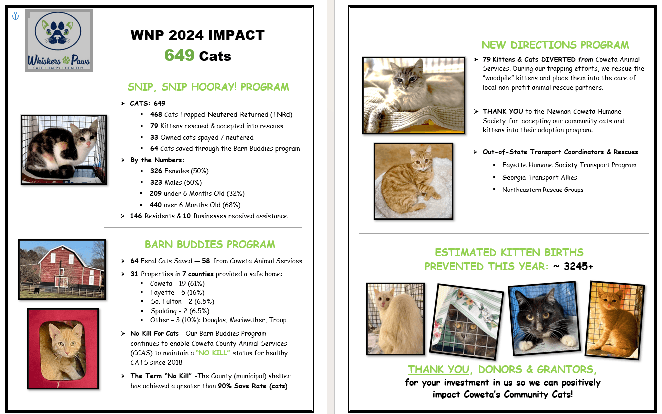 649 Cats Helped in 2024