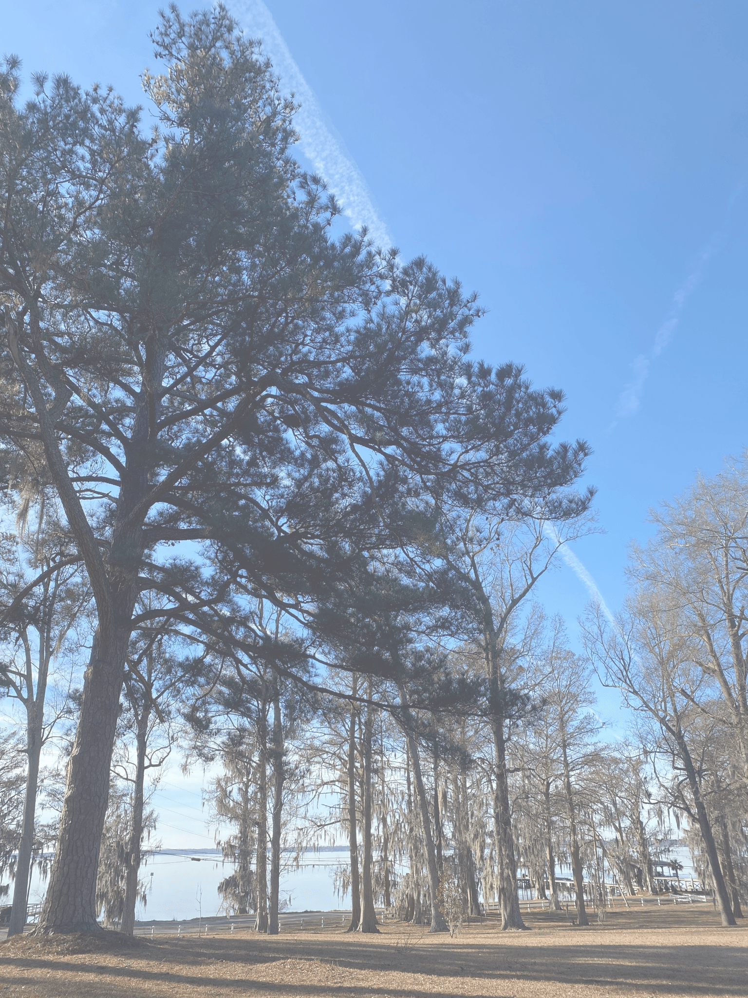 Boys & Girls Homes of North Carolina