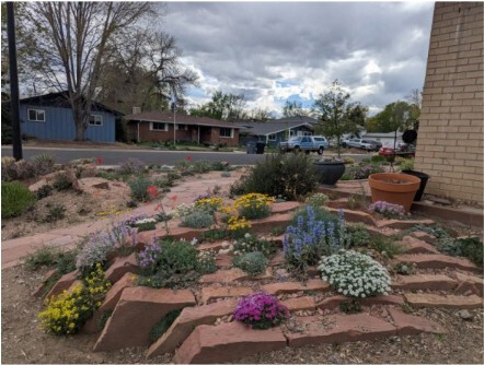 Garden Tour