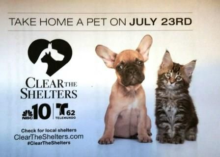 Clear The Shelters