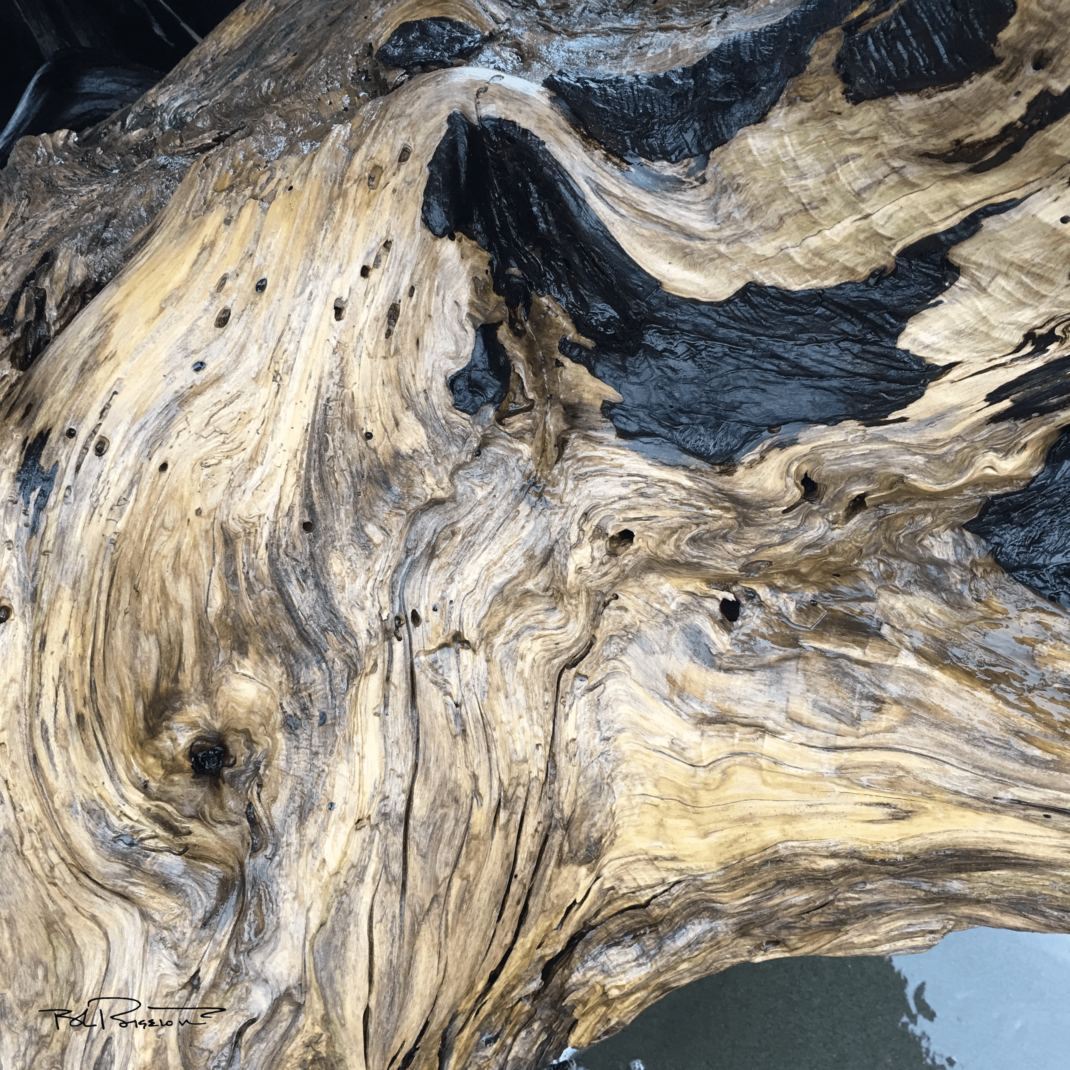 Wood Swirl