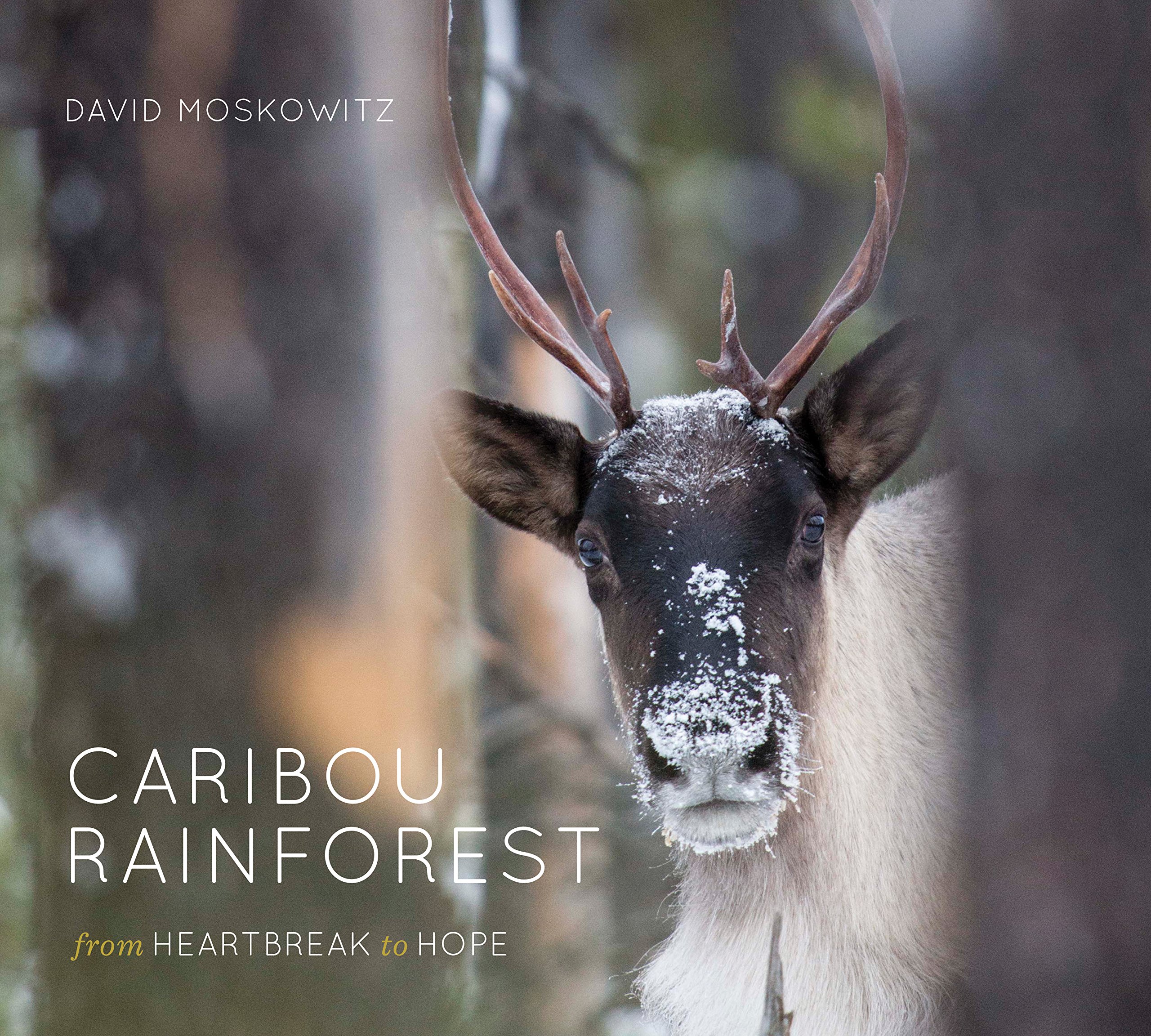 Special Red Barn Event | David Moskowitz, Caribou Rainforest: From Heartbreak to Hope