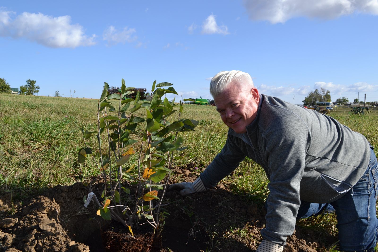 An older man with white hair plants a shrub on a hillside