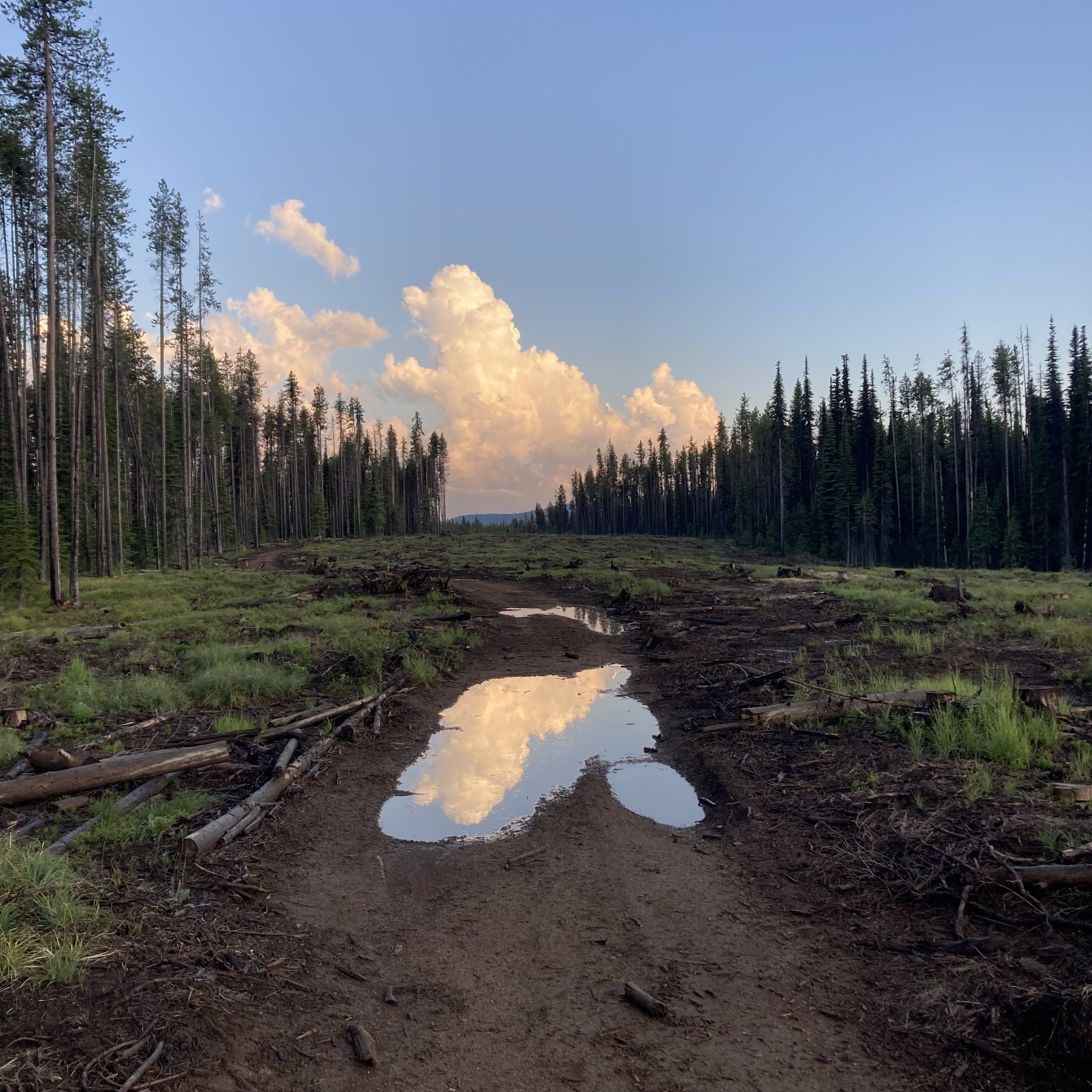 A puddle in the middle of a wide road, reflecting the pink and blue sky above.