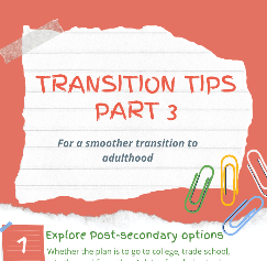 Transition Tips Part 3