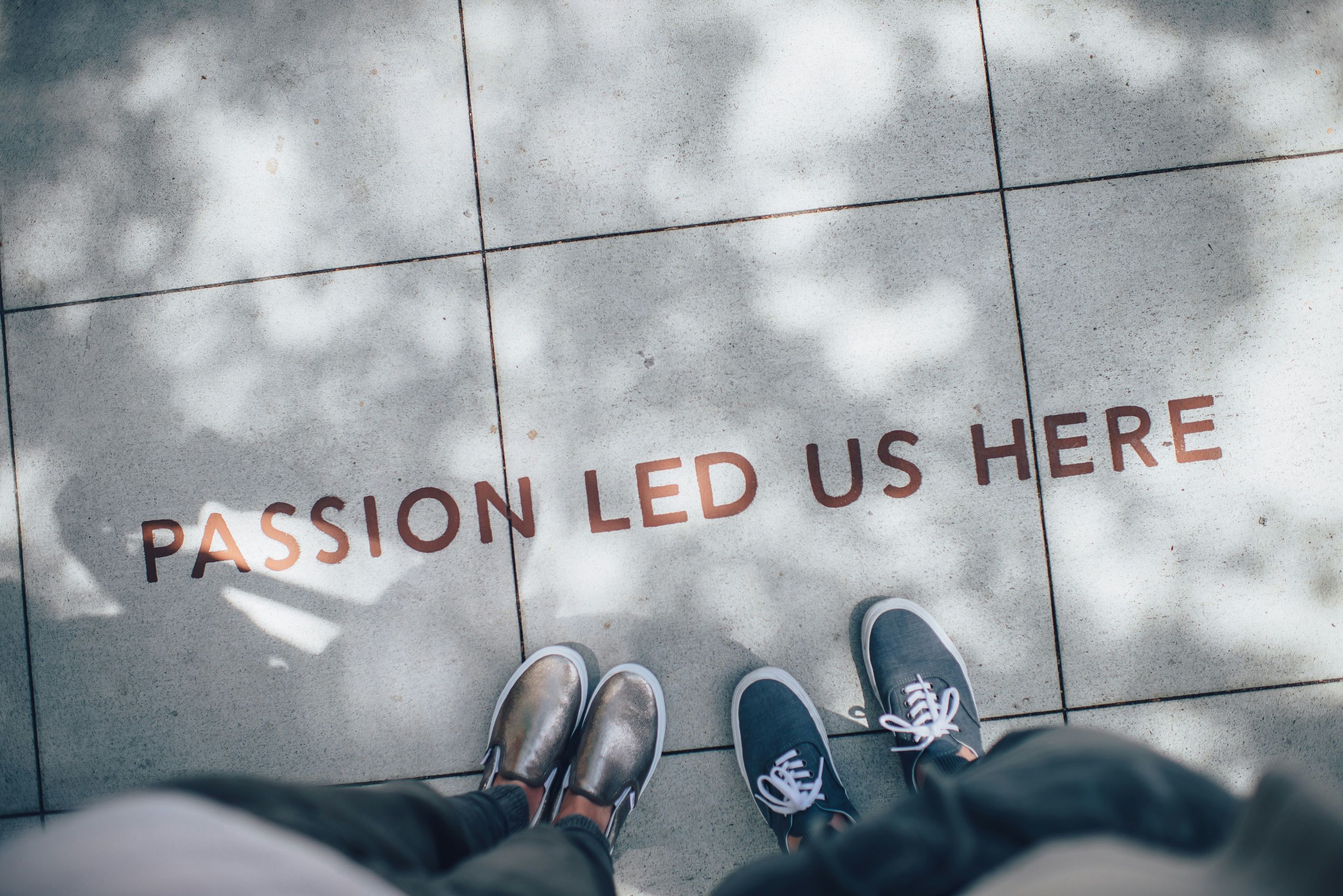 Sidewalk made of gray square panels with the phrase "passion led us here" stenciled in brown across the path of two people who have stopped to read the message.
