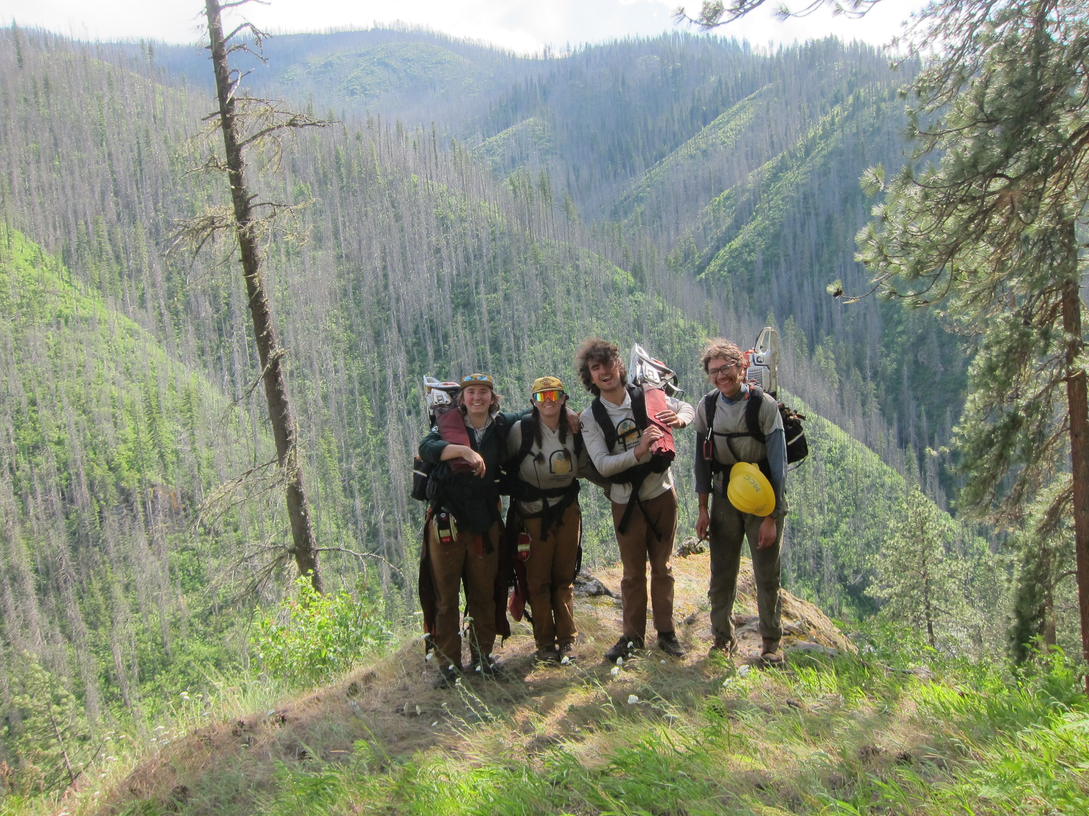 [Image description: Four MCC members holding their chainsaws (with the safety guard on) over their shoulders. In the background, one can see a smoky pink sky.]
