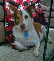 Mimi