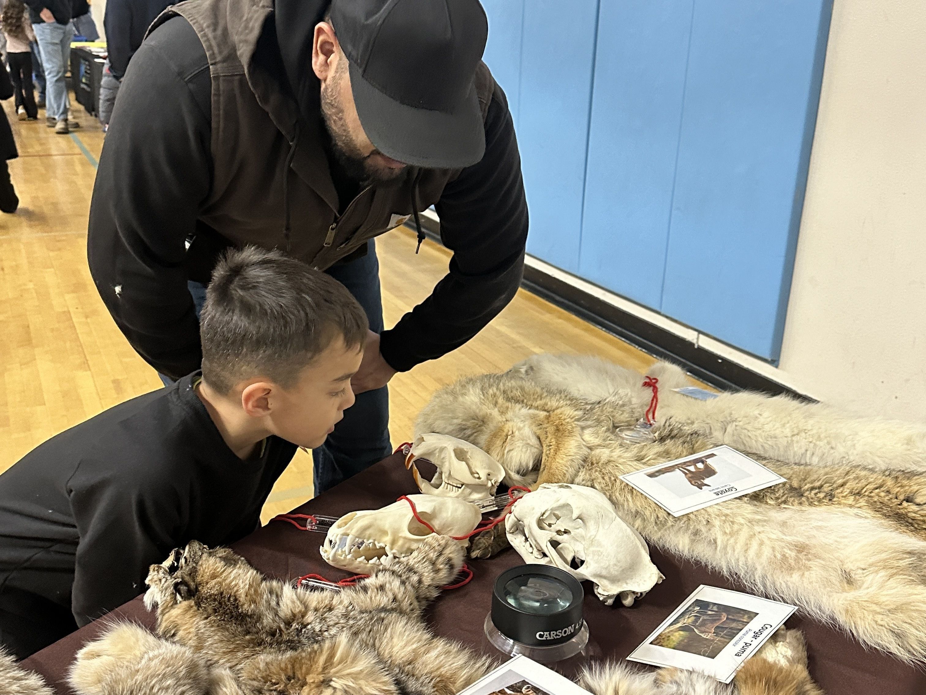 Science Nights at Schools