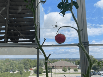 Produce Highlight Time: Drum Roll Please... No More Empty Pots!!