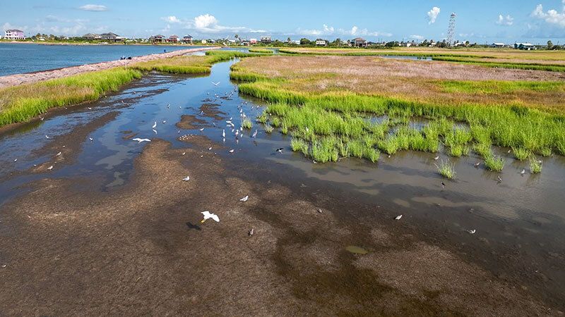 Bolivar Flats Shorebird Sanctuary