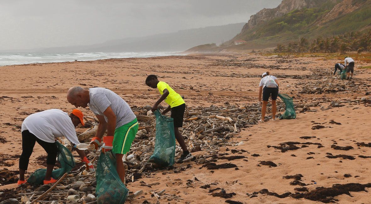 Beach Cleanup Volunteers